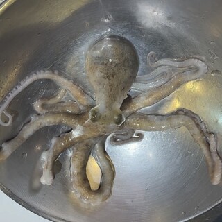 ◆◆◆新鮮な食材をふんだんに使用◆◆◆