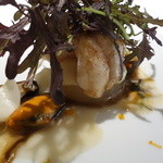 レフェルヴェソンス - 