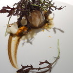 レフェルヴェソンス - 