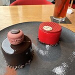 bubó BARCELONA - 