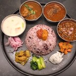 Curry Spice Gelateria KALPASI - 4種カレー