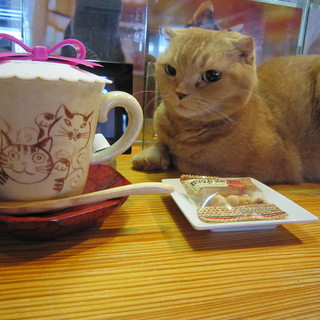 なーごなーご_1