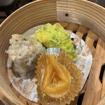松の樹 - 