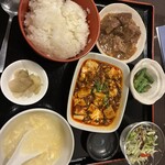 松の樹 - 