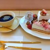 CAFE PALETTE