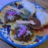 LA TACOLIA