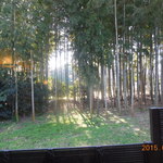 へそまがりうどん - 客席からの借景