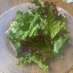 BISTRO FAVORI 代官山 - テーブルで盛り付けられた葉物