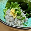 Kanda Edokko Zushi Nishiguchi ten - 生しらすつまみ 760円(税込)