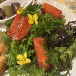 Ecru 117 - 前菜　グリーンサラダ