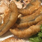 Ecru 117 - 前菜　カマスのフリット