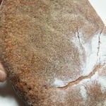 サンライズベーカリー - 底