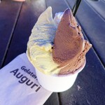 Gelateria Auguri - 料理写真:450円のダブルのカップ。ピスタチオ+100円＆チョコラータ+50円。