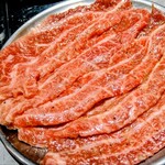 生焼きホルモンたざわ - 