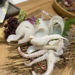 金市朗 - 