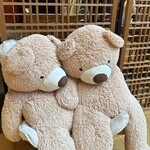 とうふ旬菜 心音 - 