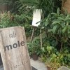 MOLE
