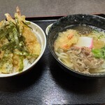 山茶花 - 