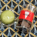 タダシ ヤナギ - 