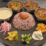 Curry Spice Gelateria KALPASI - 