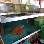 活魚問屋 海寶 - 