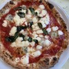 ZINGARA - 料理写真: