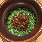 御料理藤居 - ホタルイカ飯　土鍋炊き