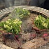 曽根崎ホルモン よう太