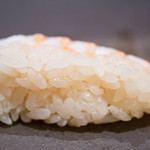 鮨裕 - 赤酢のシャリ