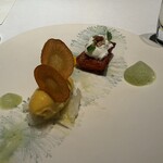 MOTORA  - 
