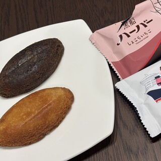 ありあけ本館 ハーバーズムーン_1