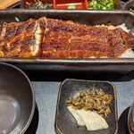 鰻魚四代目菊川 Midland Square 名古屋本店 - 