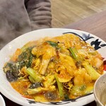 双琉 - 