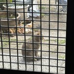 本家　よねや - 