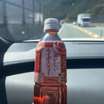 主婦の店 - ドリンク写真:おいしいルイボスティー