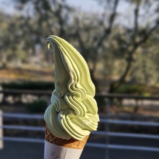 小豆島オリーブ園_1