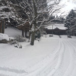 姫のそば ゆかり庵 - 神社