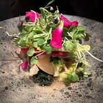 WINE食堂 緒乃 - 