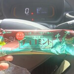 業務スーパー - 料理写真:チョコミントアイス¥88