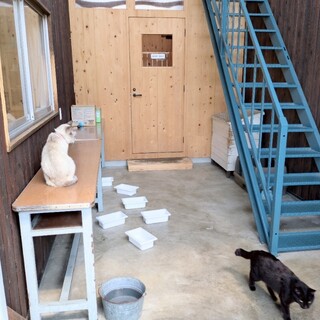 おかし工房Botan_2