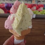 gelateria frutti - 料理写真: