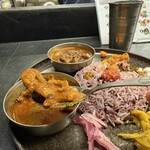 Curry Spice Gelateria KALPASI - 