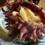 海の幸 美味 - ホヤ刺し