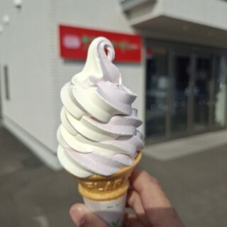 クランベリー_1