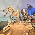 アトリエ菓修 - こちらへくる前に行った恐竜博物館！面白かった！