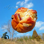 ラ・ディッシュ - なんちゃらレザン