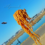 ラ・ディッシュ - 焼きそば。河川敷バージョン