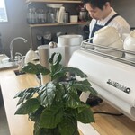 29coffee stand - 