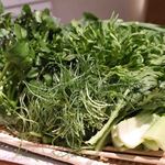 森の机 - サラダ鍋。すごい量です＾＾デトックスにおすすめだよ