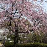 炭燒鰻富士 名古屋驛太閤口店 - 